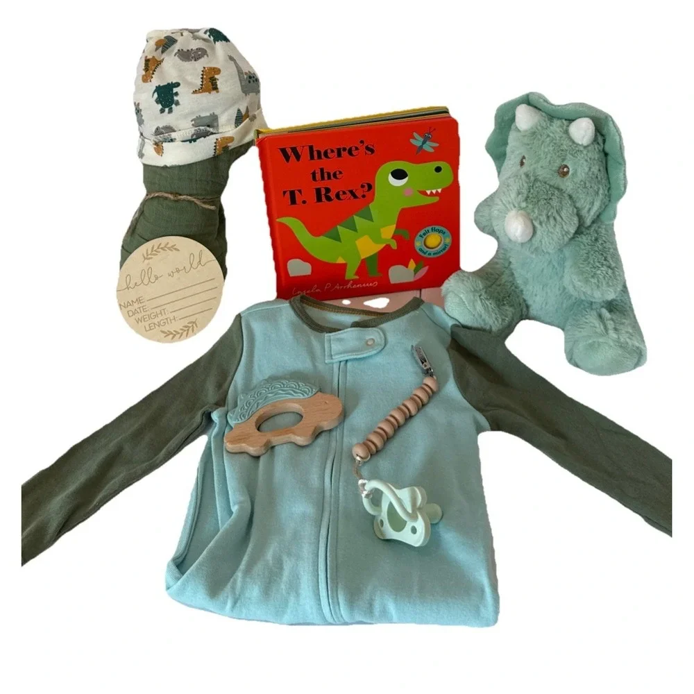 Dinosaur Baby Shower Gift Crate, Newborn Present-Dino Books Clothes Lovey & More